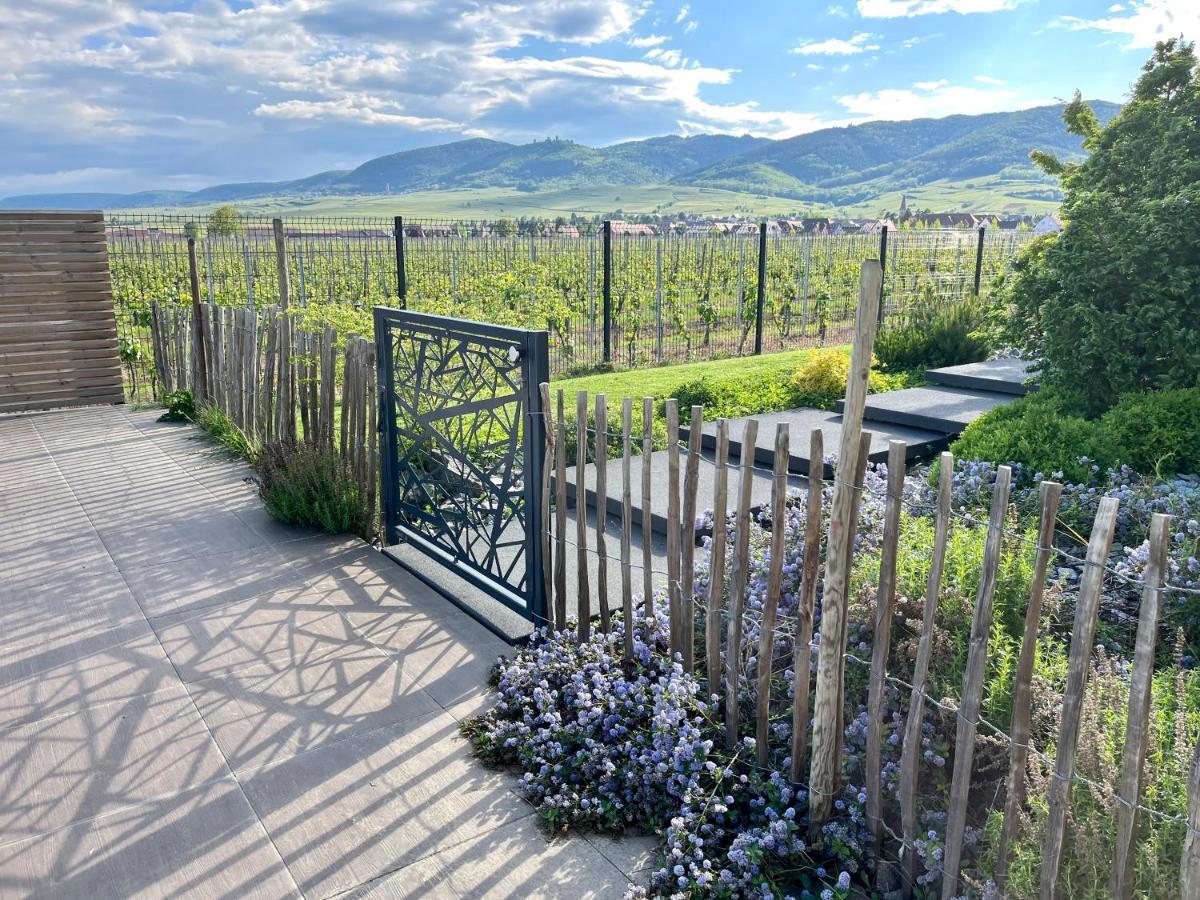 Gite Proche Colmar Vignoble Wettolsheim Екстериор снимка