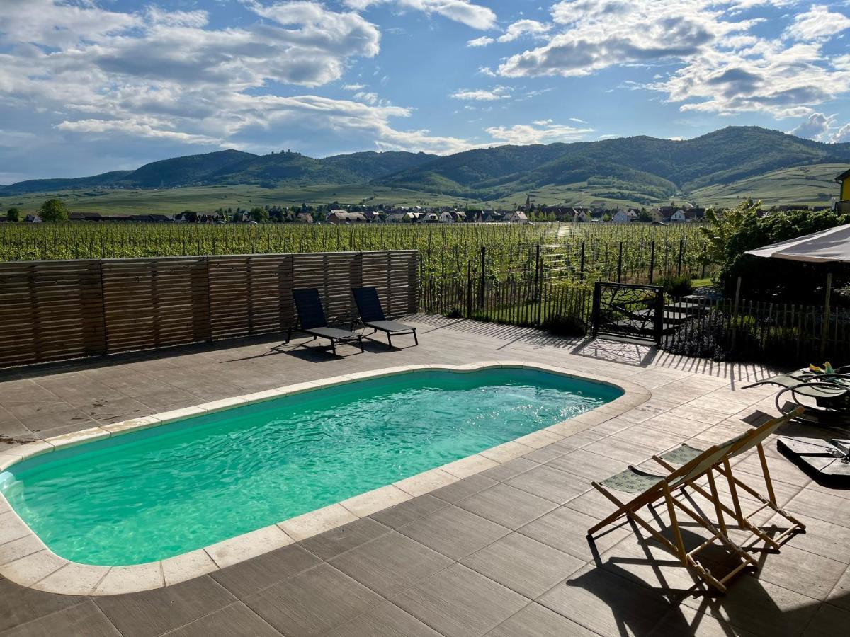 Gite Proche Colmar Vignoble Wettolsheim Екстериор снимка